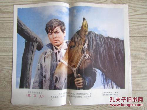 桃山学院大学学信网认证办理